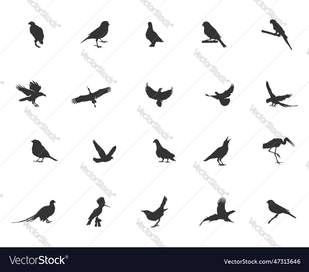 Bird silhouette flying silhouette svg Royalty Free Vector