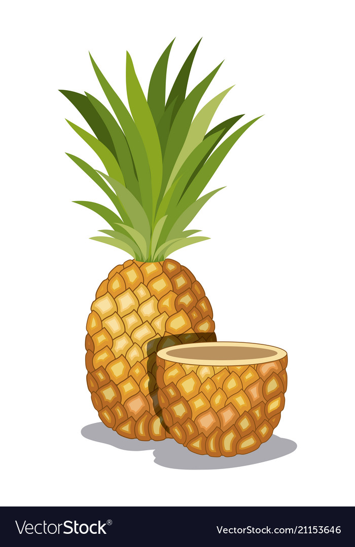 Fresh pineapple fruit tropical