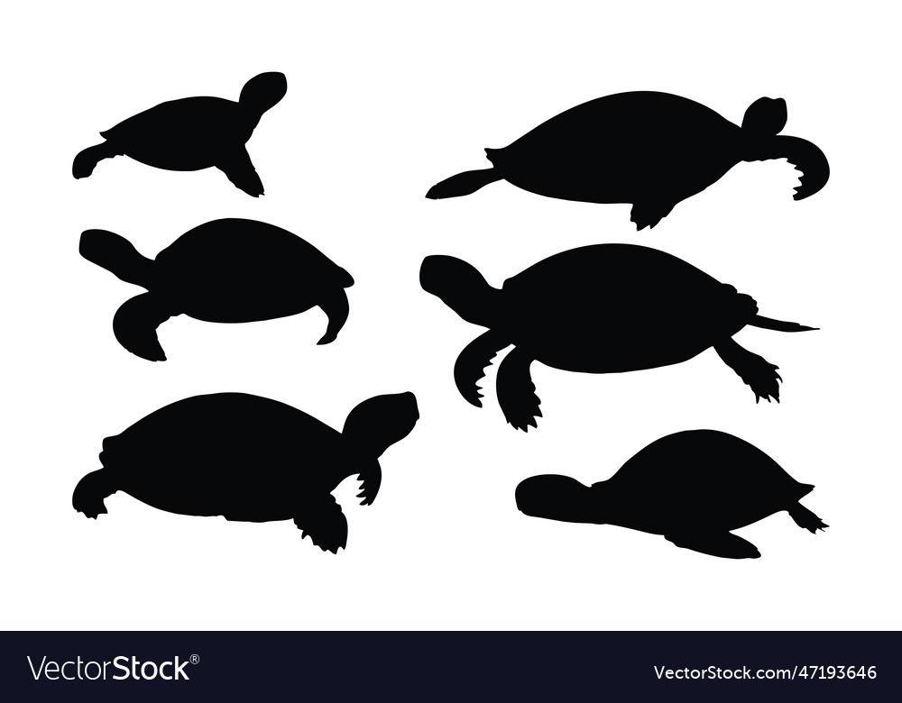 Turtle crawling in different positions silhouette Vector Image