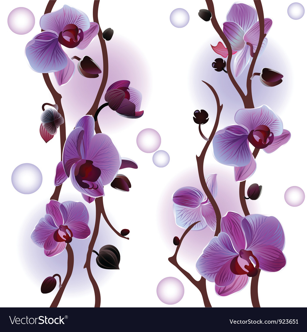 Orchids