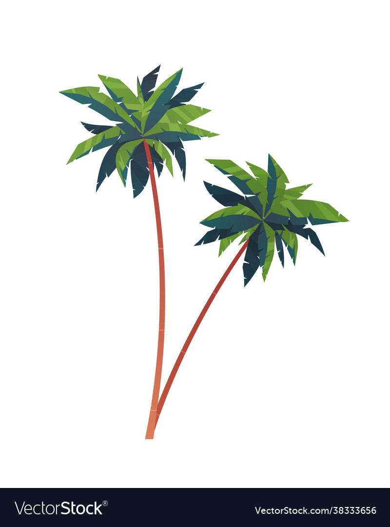 Two palm trees