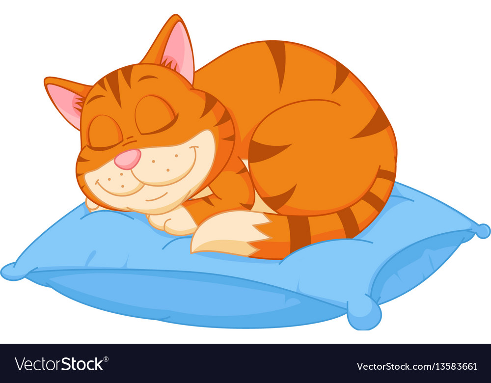 cartoon cat pillow