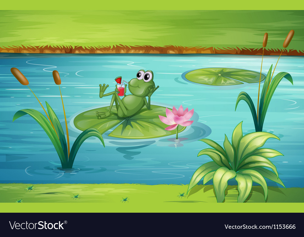 A frog Royalty Free Vector Image - VectorStock