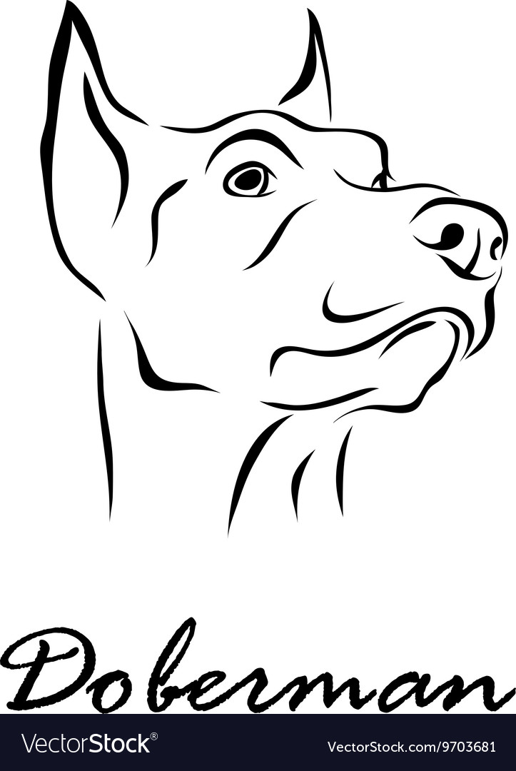 Doberman Royalty Free Vector Image - VectorStock