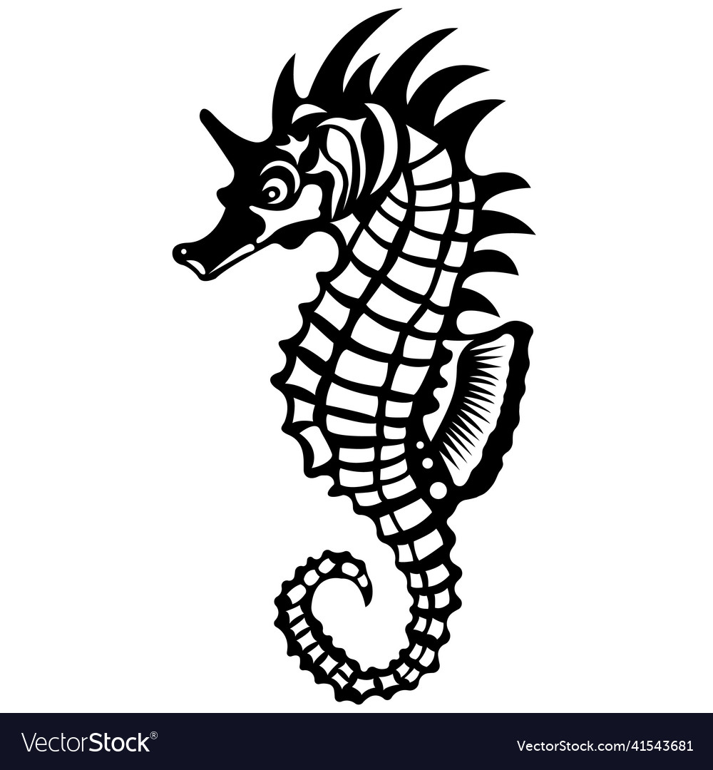 Exotic decorative fish seahorse