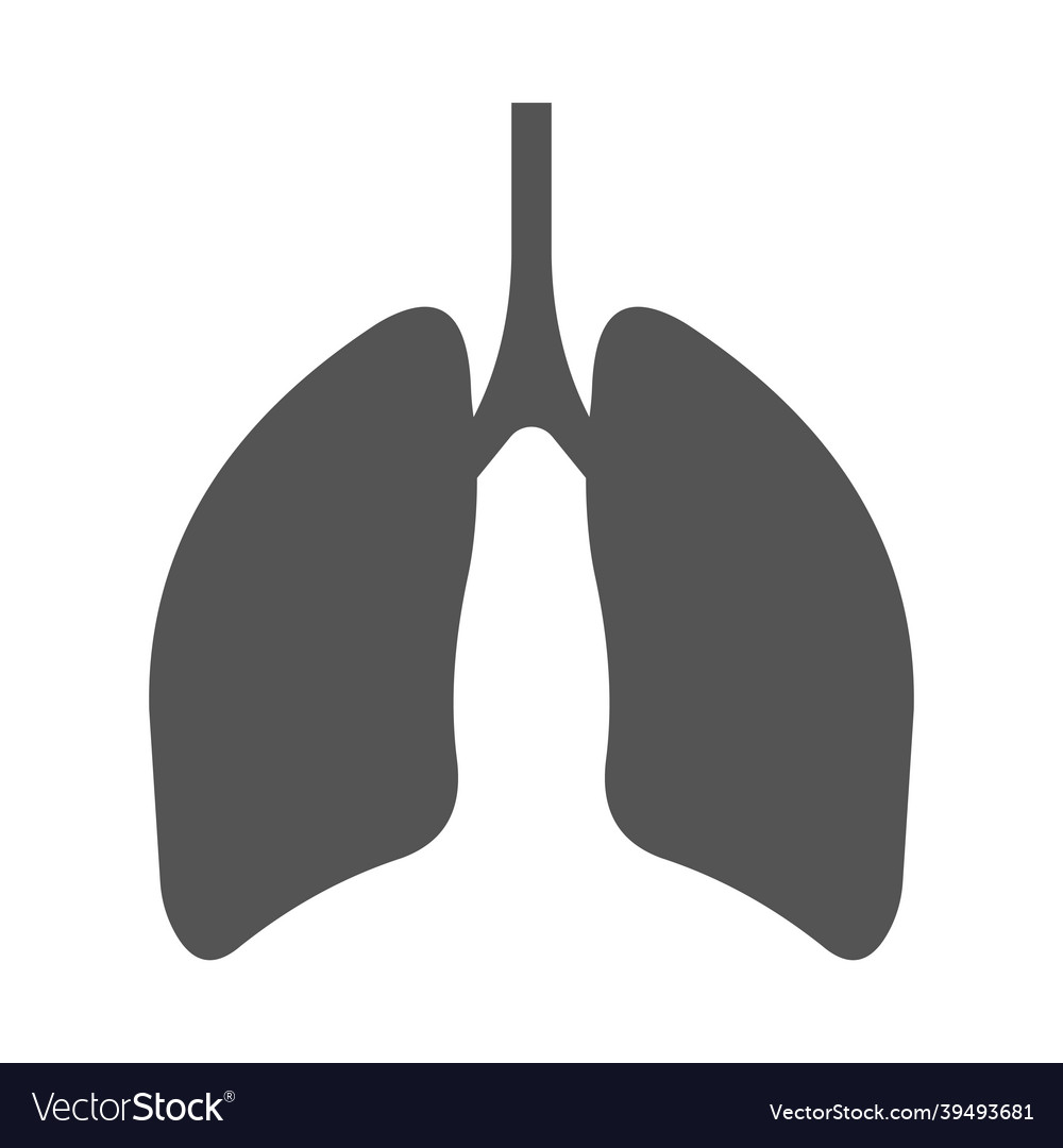 Lungs human respiratory organ silhouette Vector Image