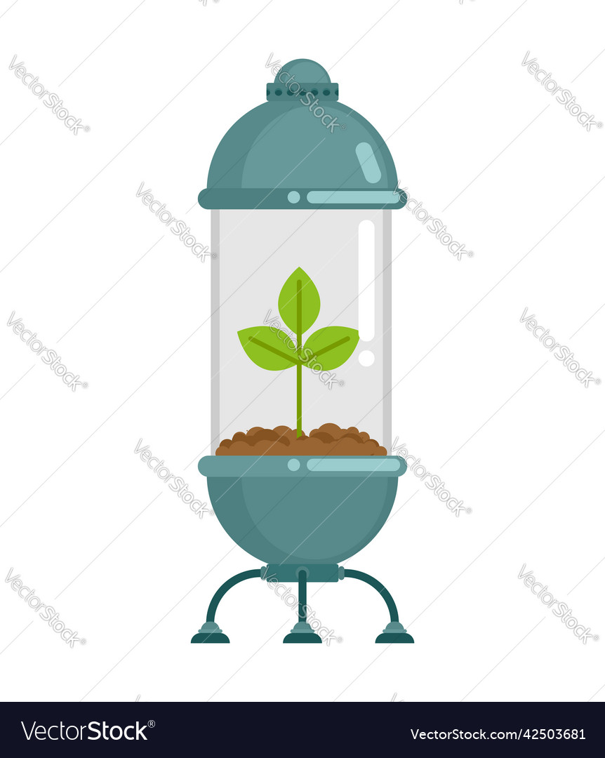 Tree in glass flask plant bell nature