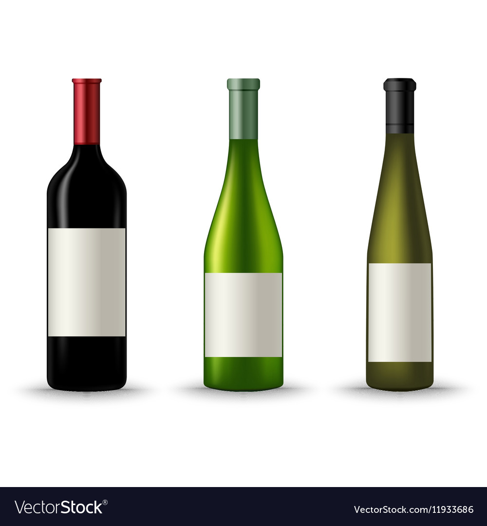 Collection different wine bottles template Vector Image