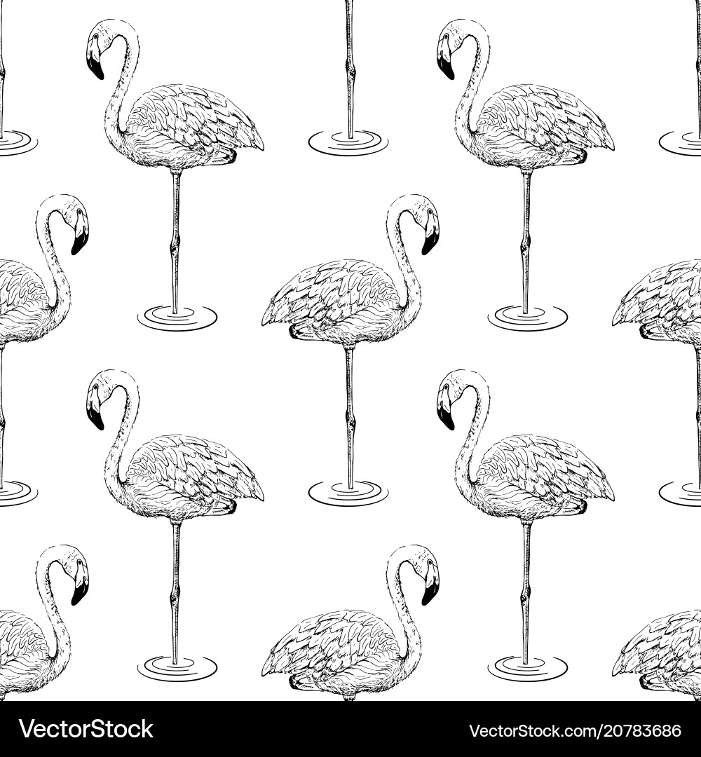 Flamingo sketch seamless pattern Royalty Free Vector Image