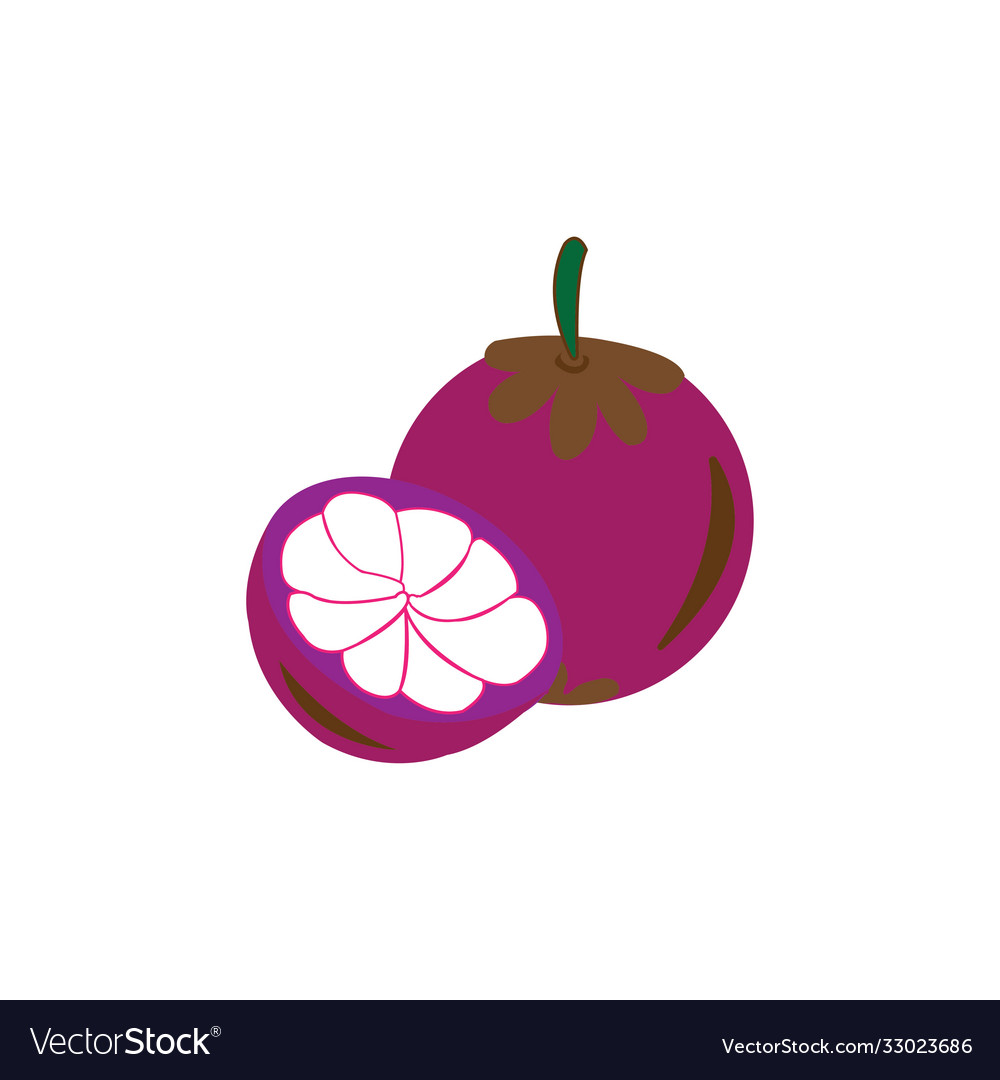 Mangosteen colorful design icon