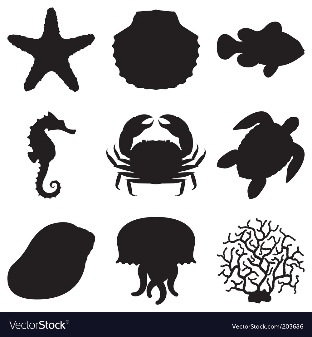 Download Sea animals Royalty Free Vector Image - VectorStock