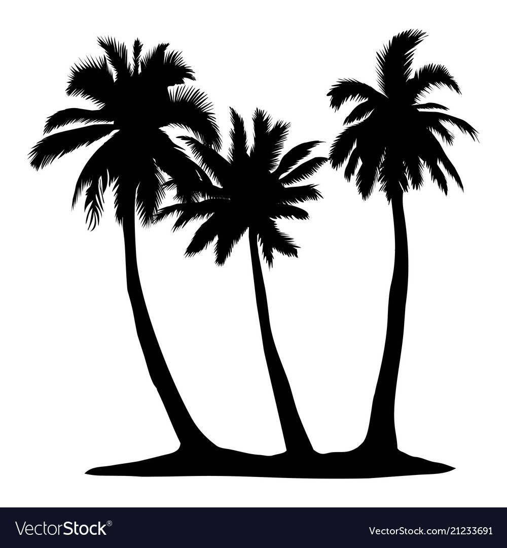 Arriba 145+ imagem tree silhouette white background - Thcshoanghoatham ...