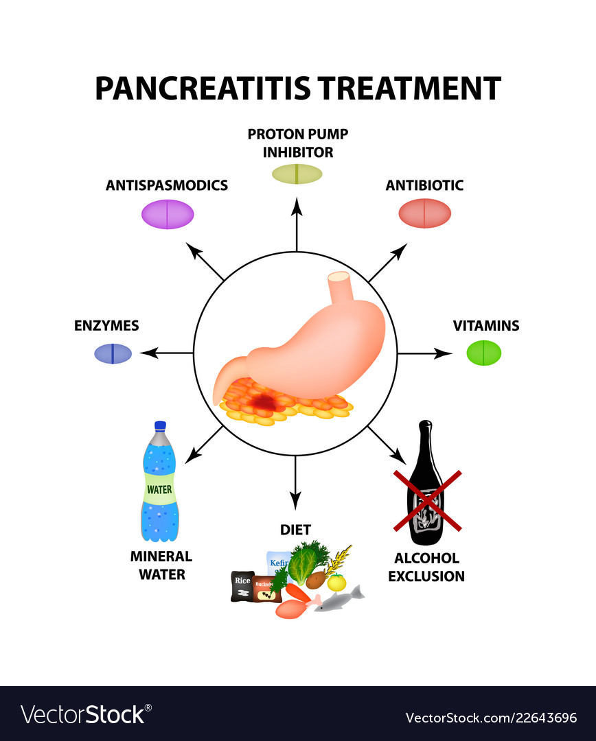 Pancreatitis treatment the structure of the Vector Image