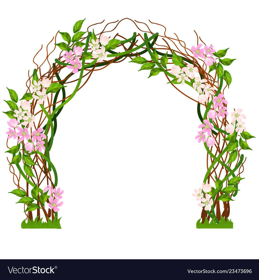 Wedding arch decorated with pink flower buds Vector Image