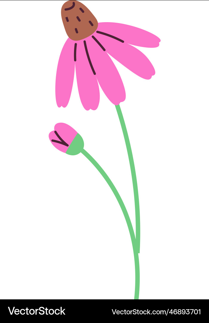 Flower on stem Royalty Free Vector Image - VectorStock
