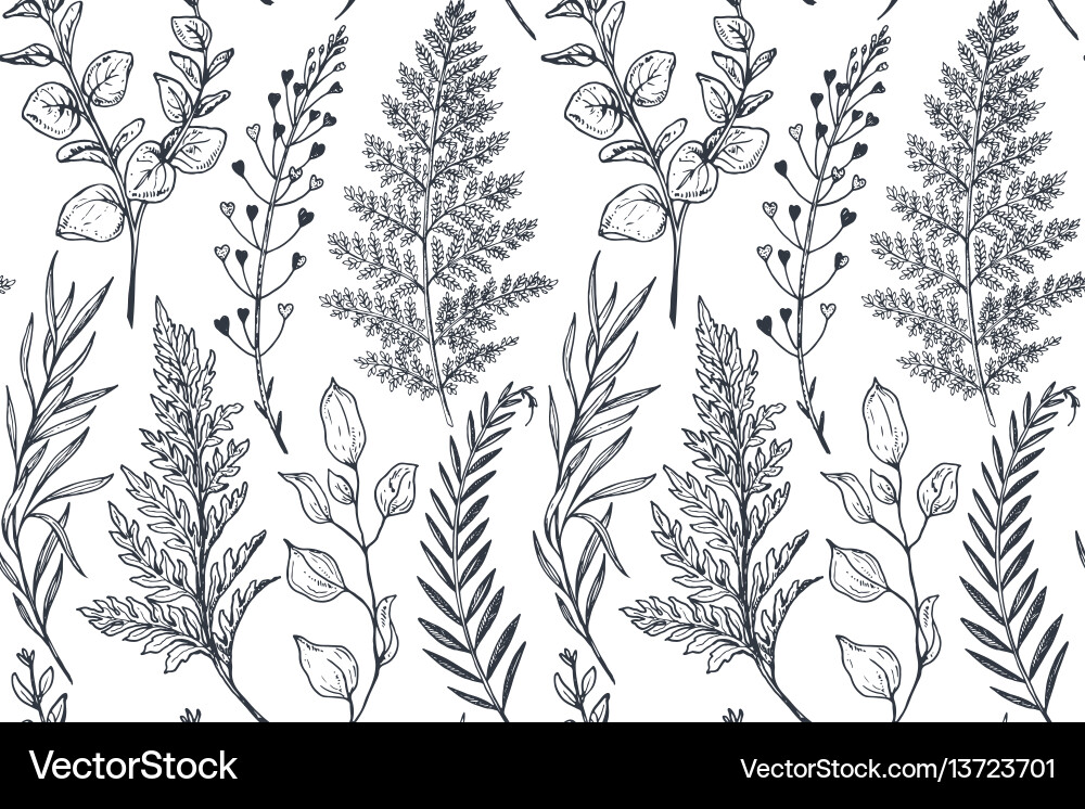 Seamless pattern with hand drawn flowers Vector Image