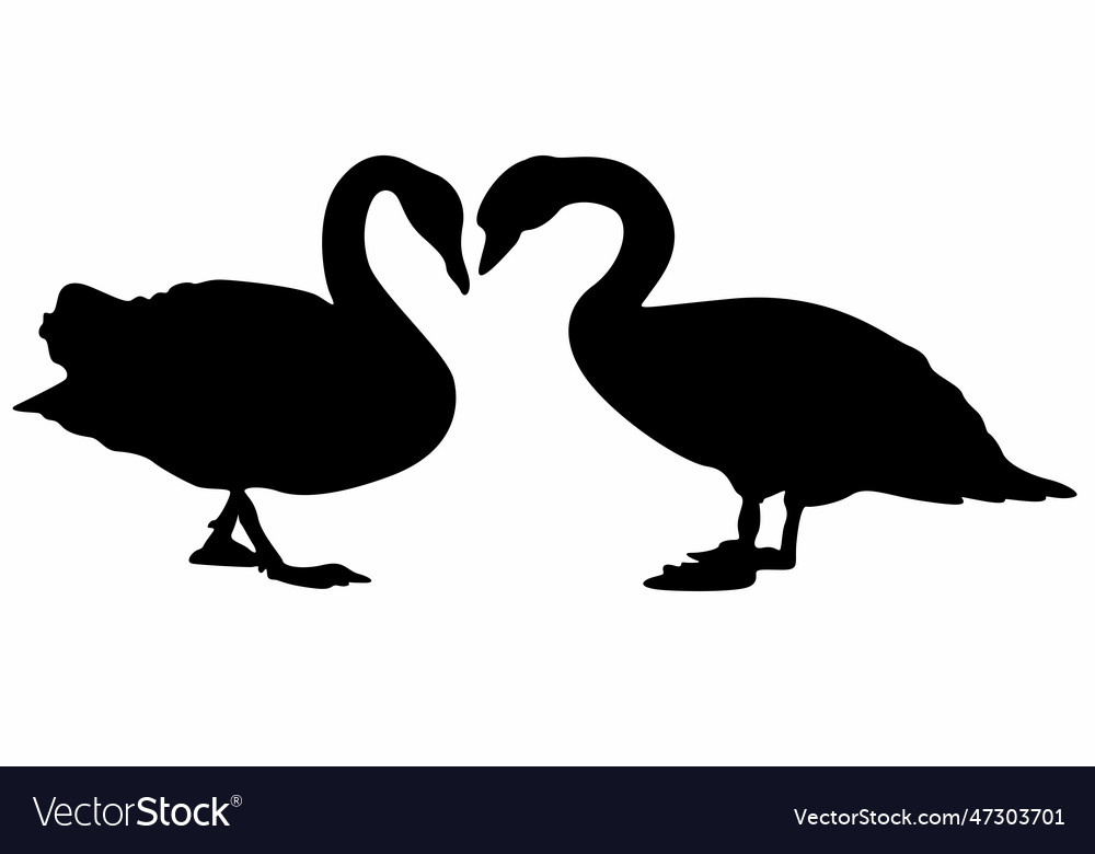 Set couple two duck black silhouette animal Vector Image