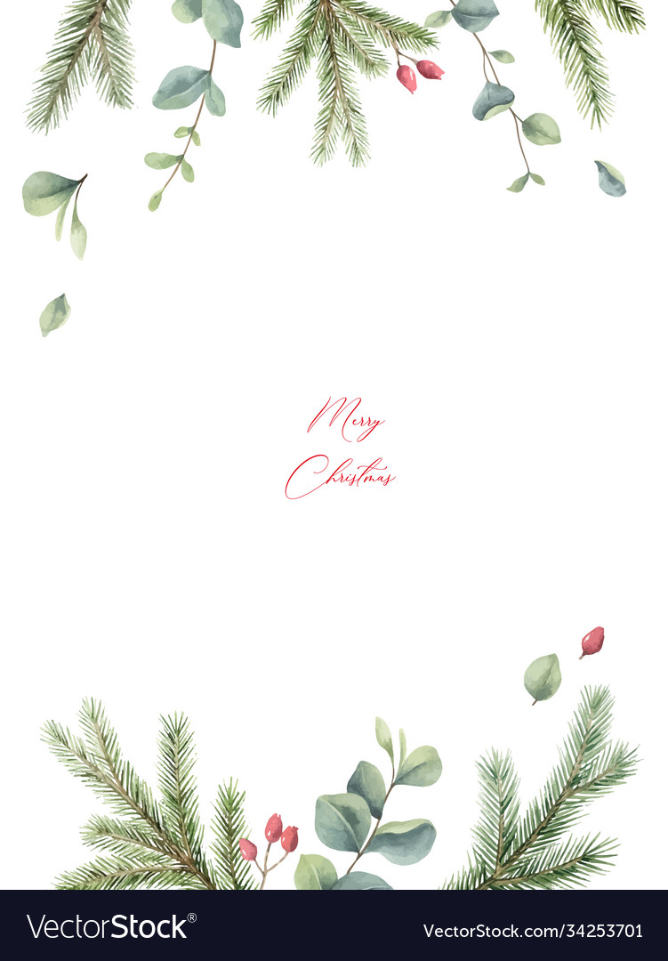 Watercolor christmas card with fir branches Vector Image