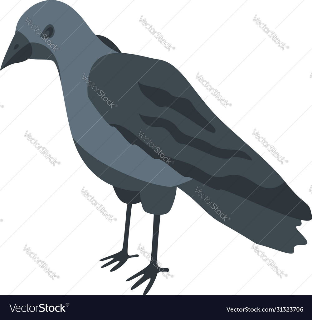 Black crow icon isometric style Royalty Free Vector Image