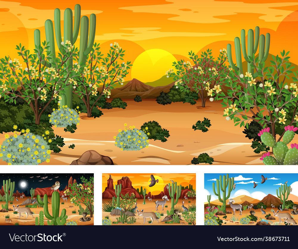 Different scenes with desert forest landscape Vector Image