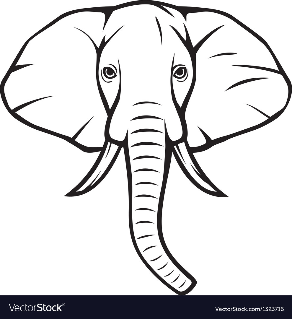 Elephant head Royalty Free Vector Image - VectorStock