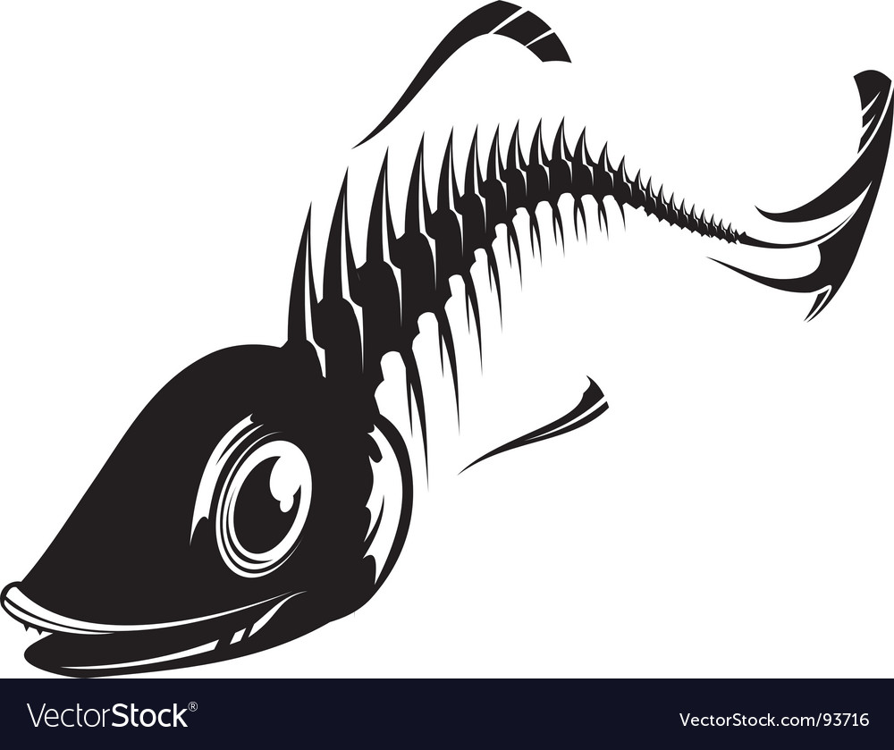 Fish skeleton Royalty Free Vector Image - VectorStock