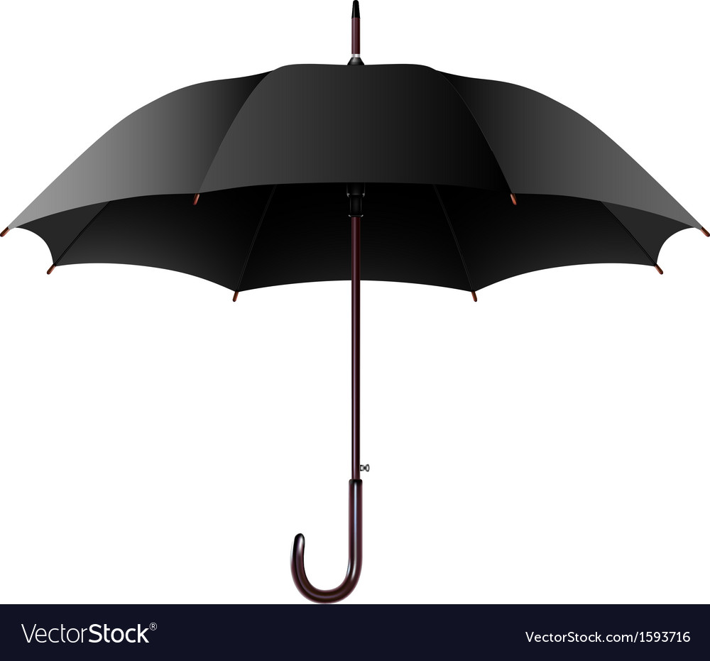 Umbrella Royalty Free Vector Image - VectorStock