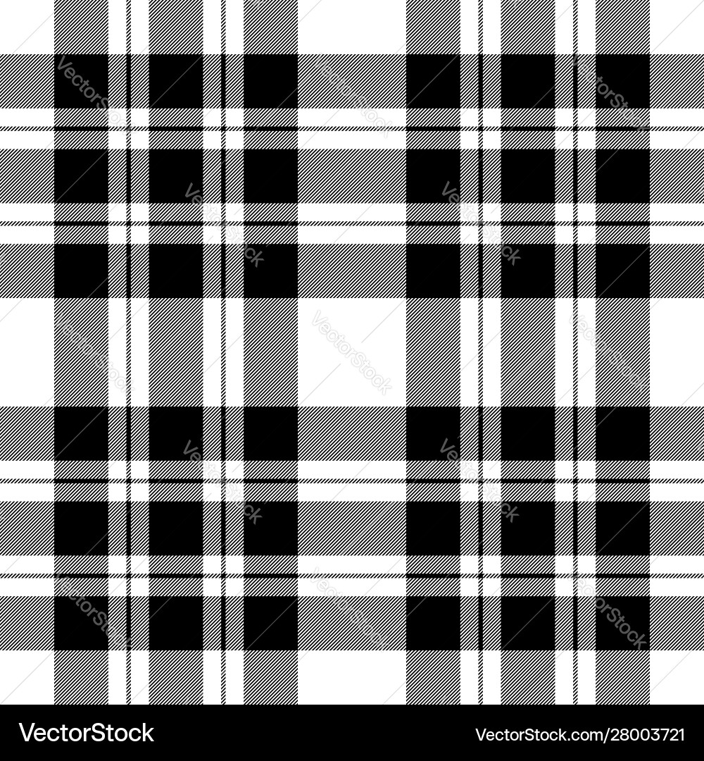 Check diagonal texture black white seamless Vector Image