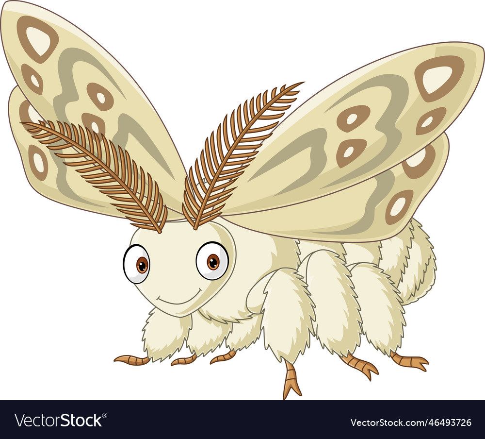 Cartoon moth insect on white background Royalty Free Vector