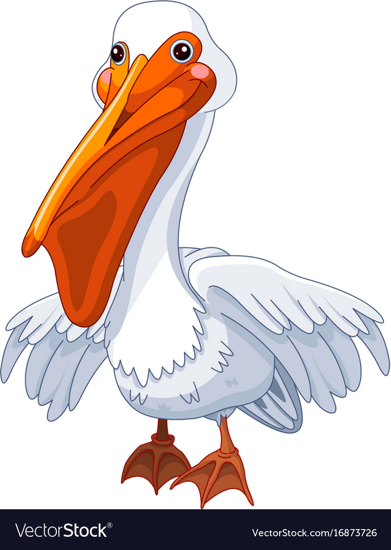 Pelican Royalty Free Vector Image - VectorStock