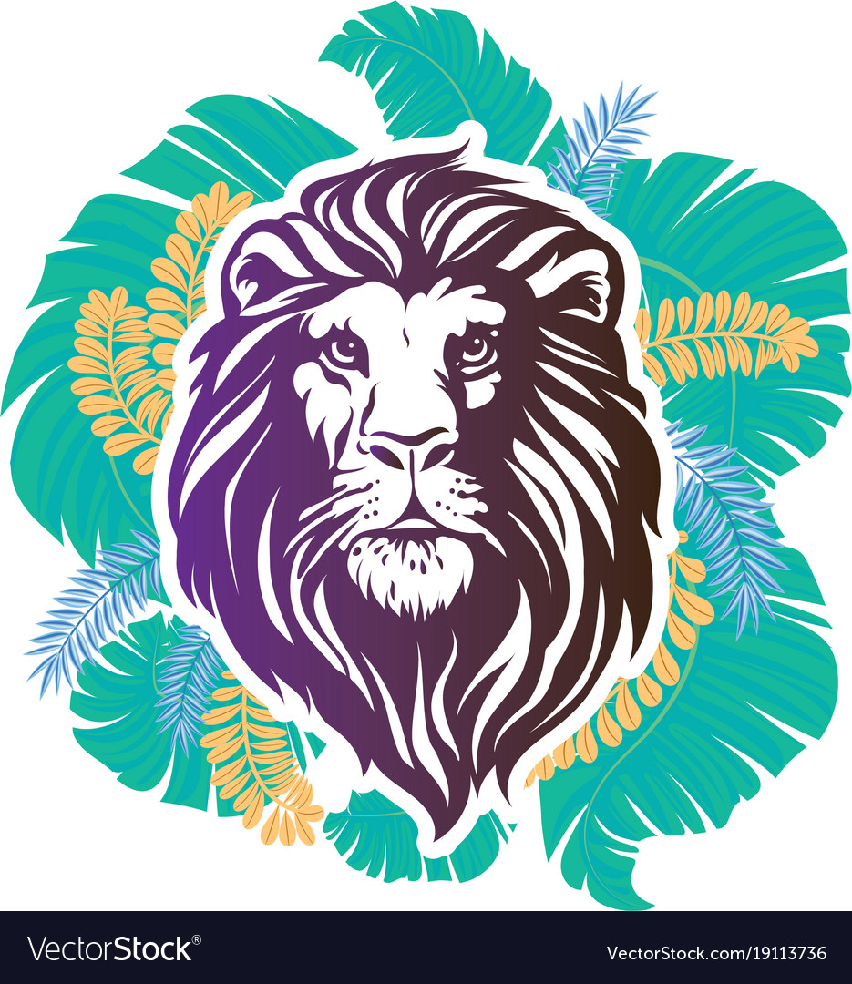 lion head cool lion