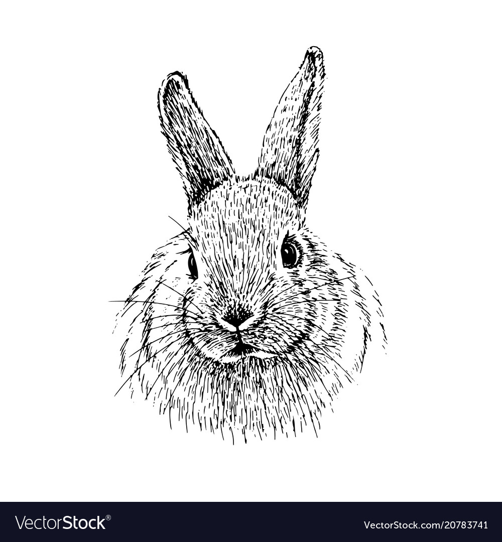 Screaming hare or mad rabbit for tattoo label Vector Image