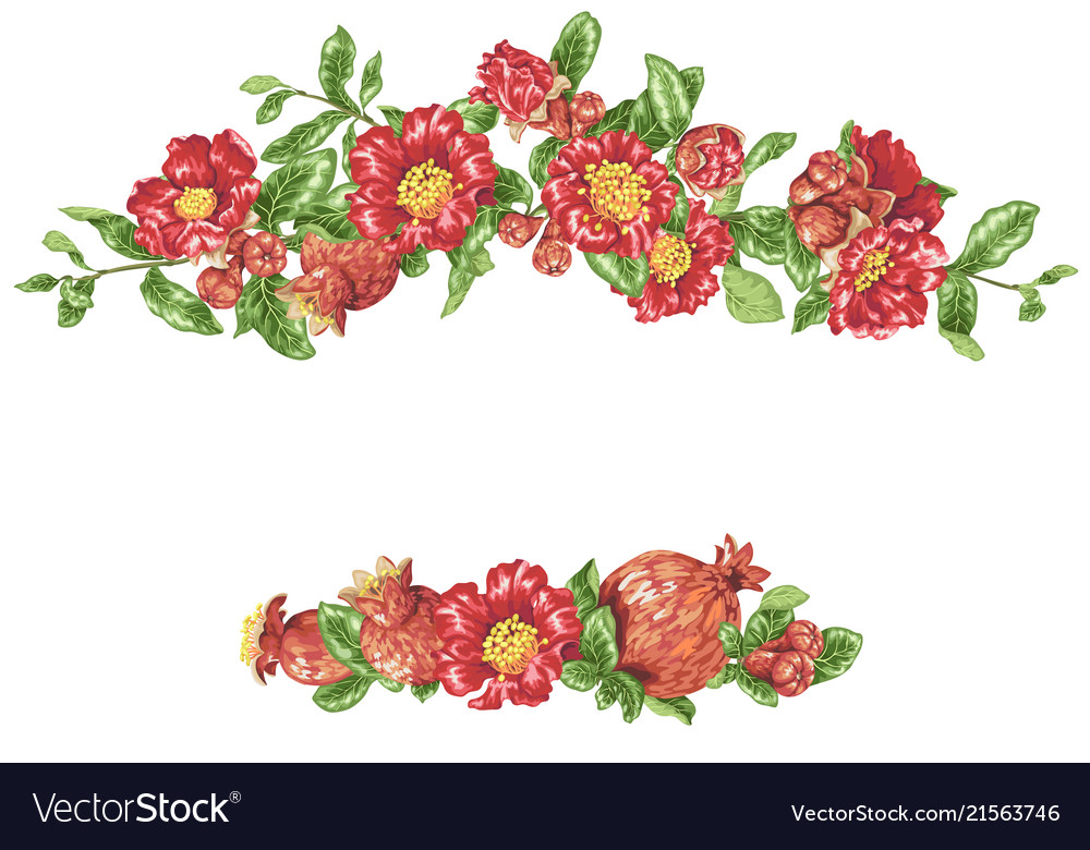 Pomegranate headline border with blooming flowers