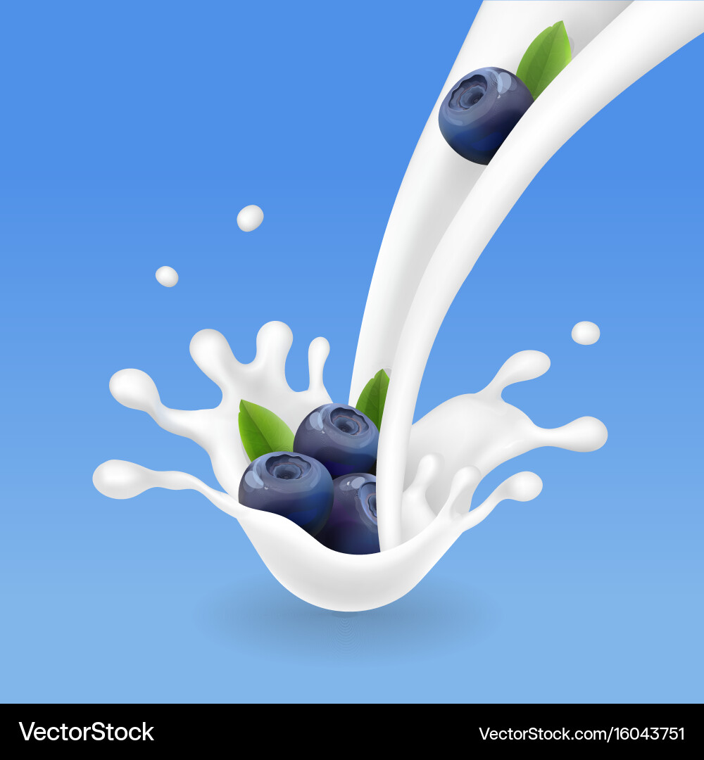 Blueberry and milk cocktail splash realistic Vector Image