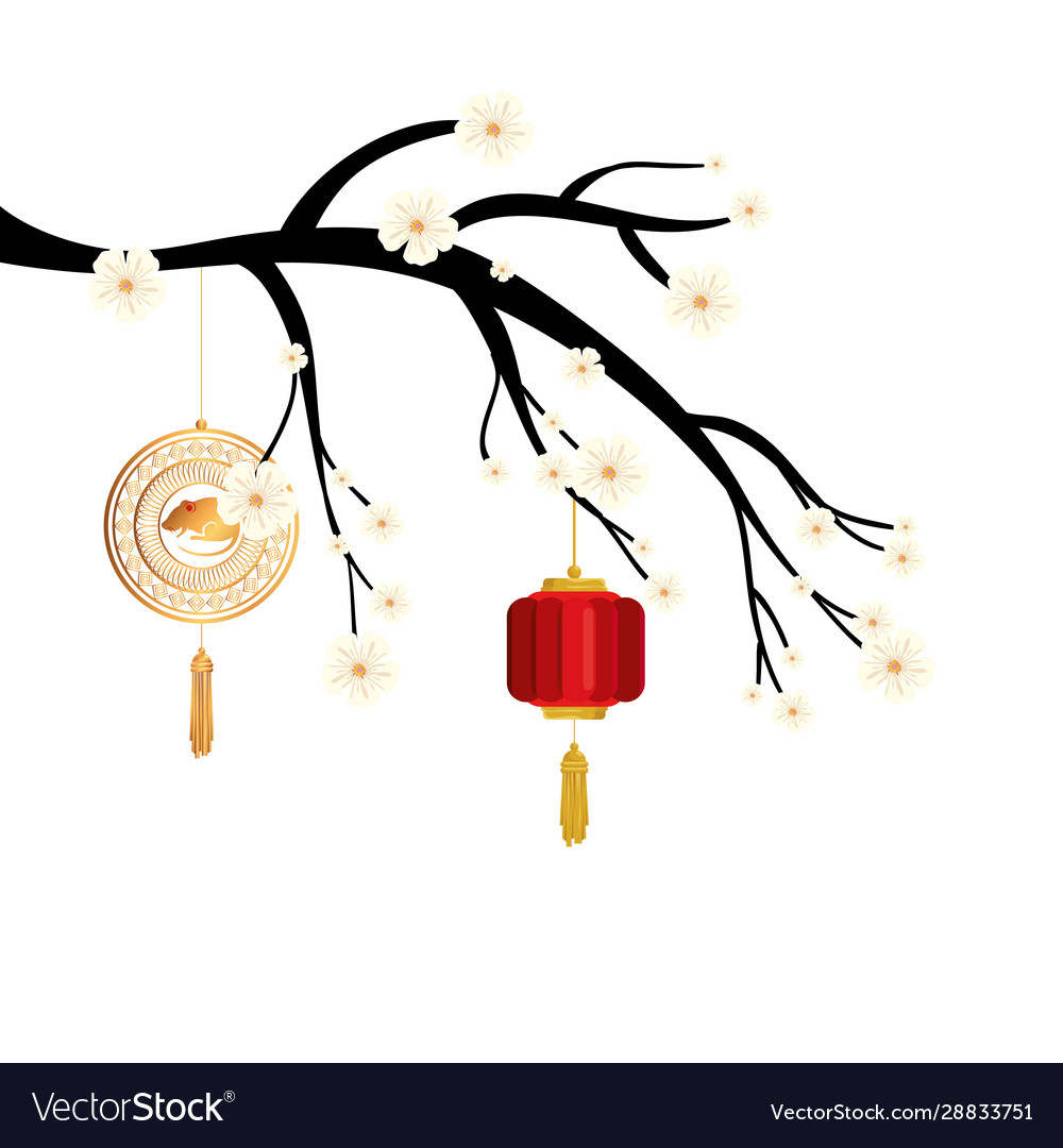 Tree branch with lantern and decoration chinese Vector Image