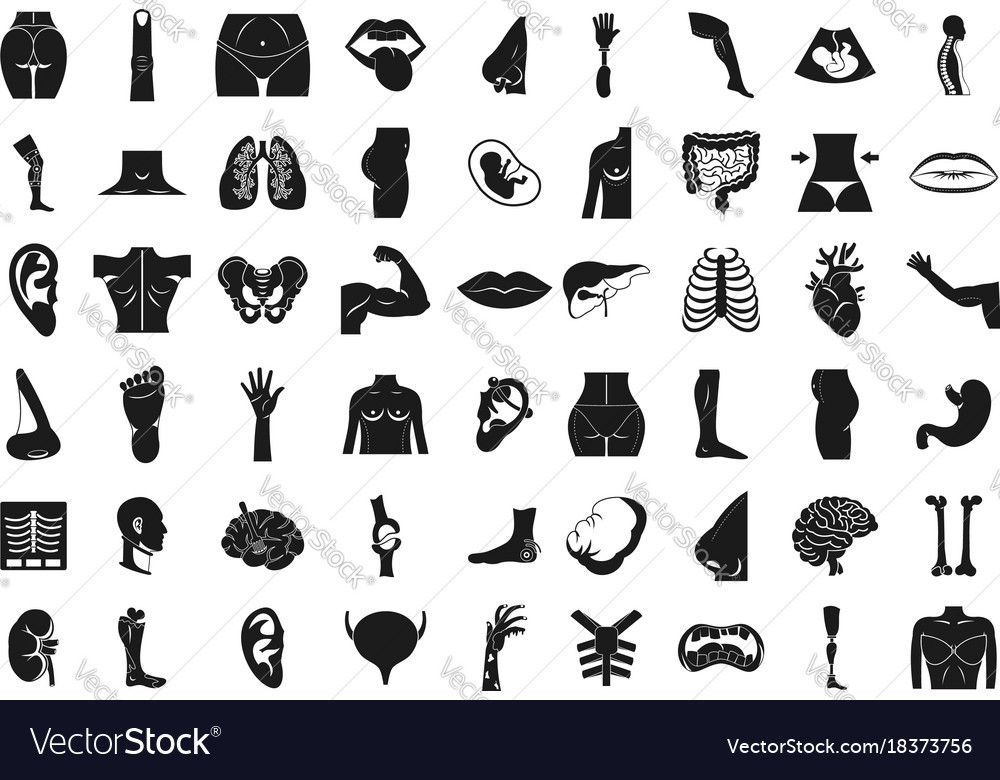 Human body shapes hand types icon set Royalty Free Vector