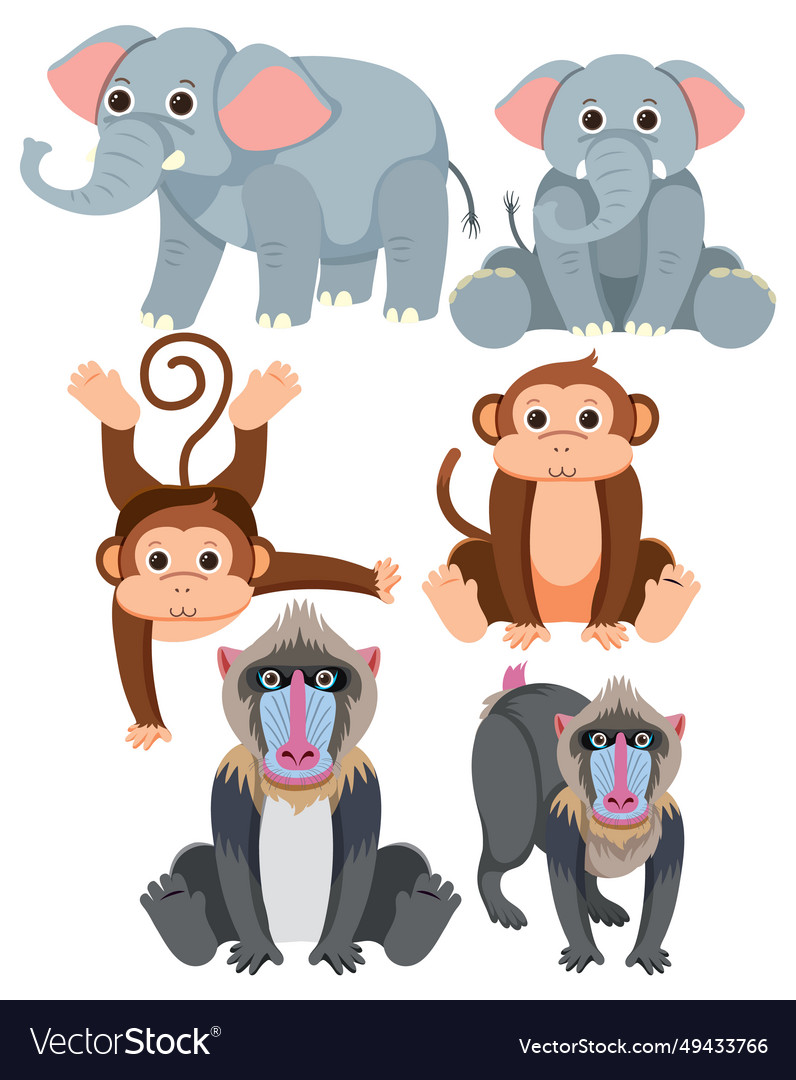 Simple style cartoon of elephant monkey and baboo Vector Image