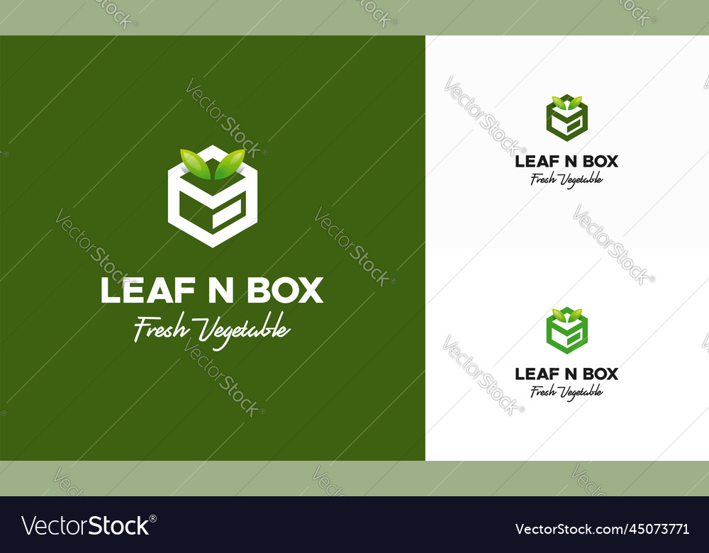 Vegetable box logo designs concept nature