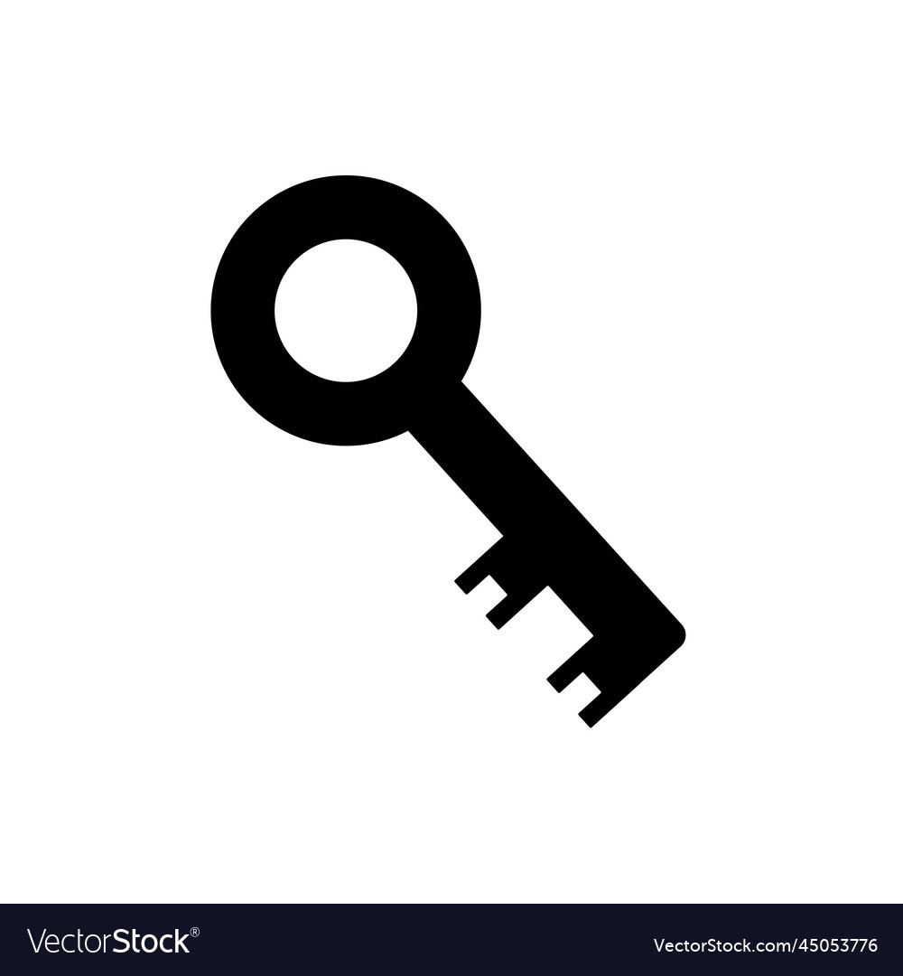 Key symbol web and computer icon