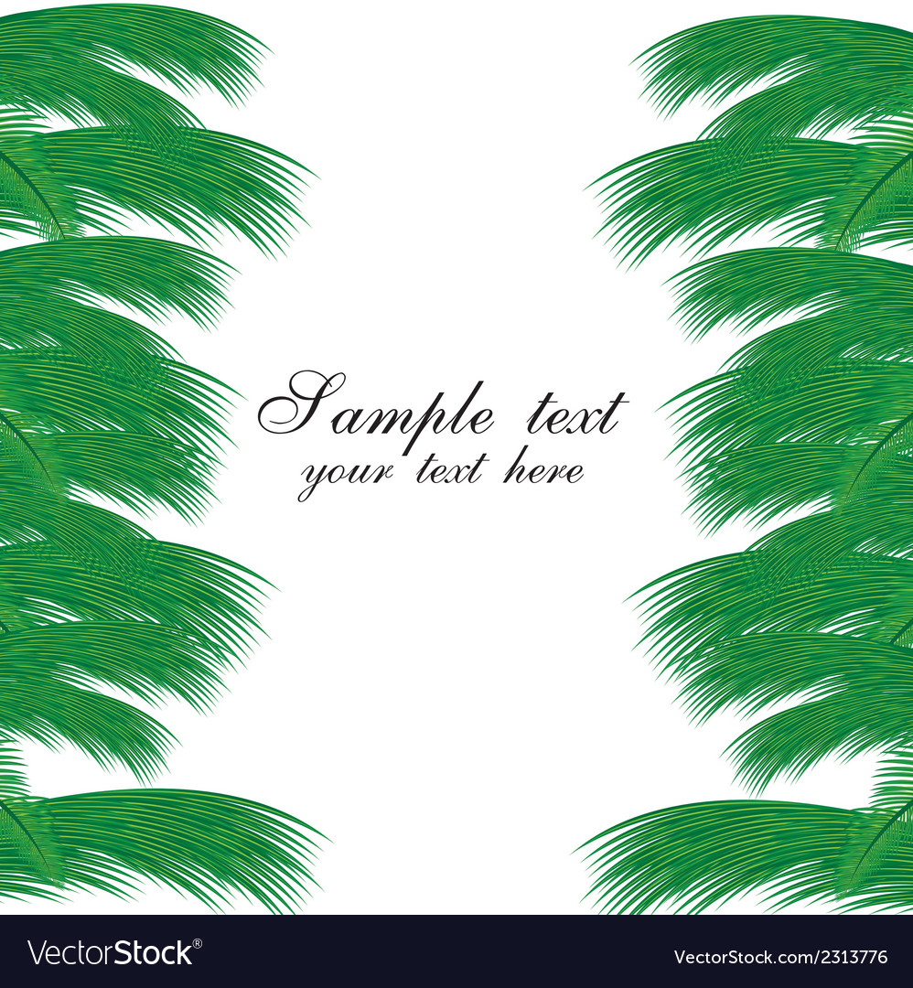 palm fronds royalty free vector image vectorstock