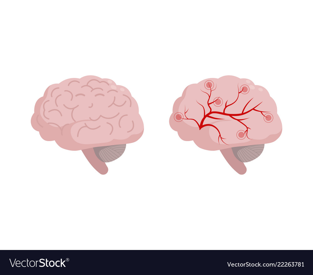 Healthy brain icon isolated on white background