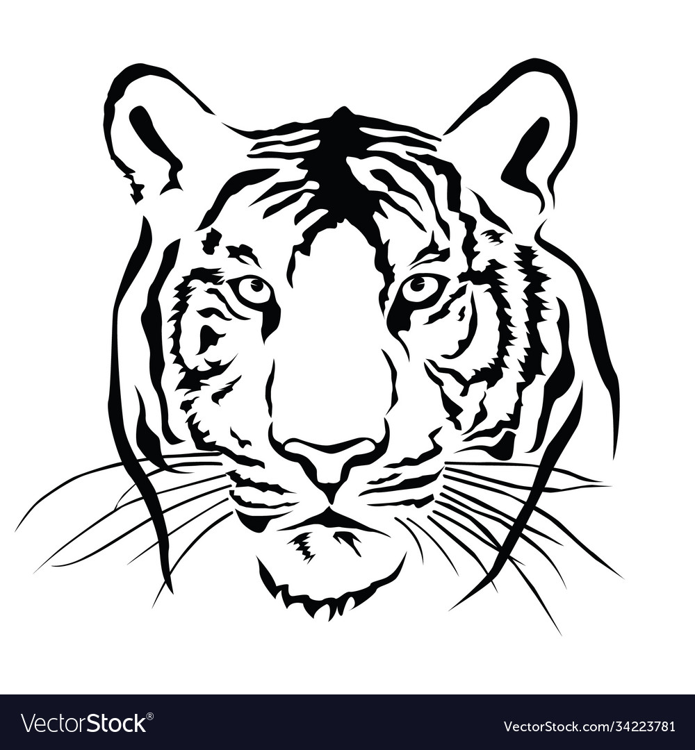 Tiger Head Black And White Royalty Free Vector Image