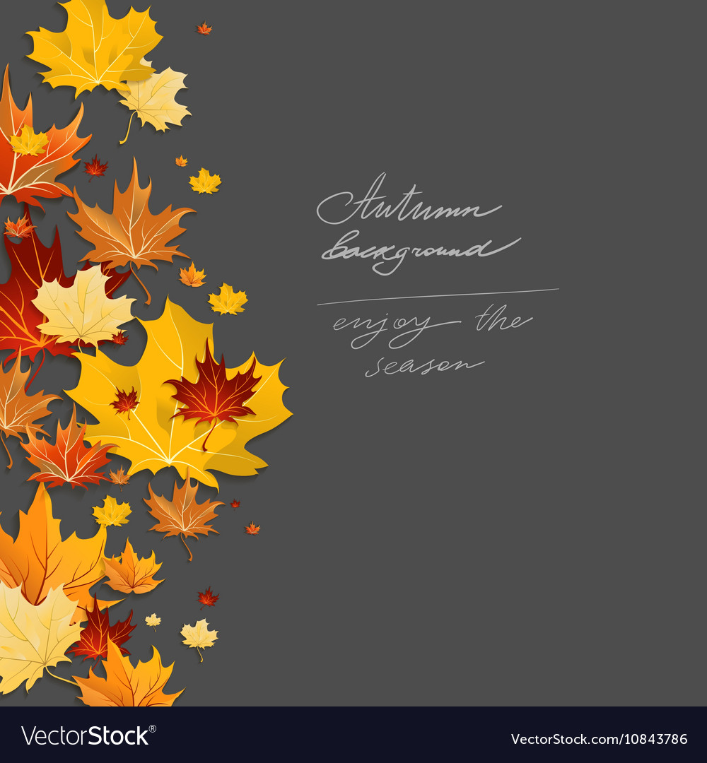 Autumn leaves design