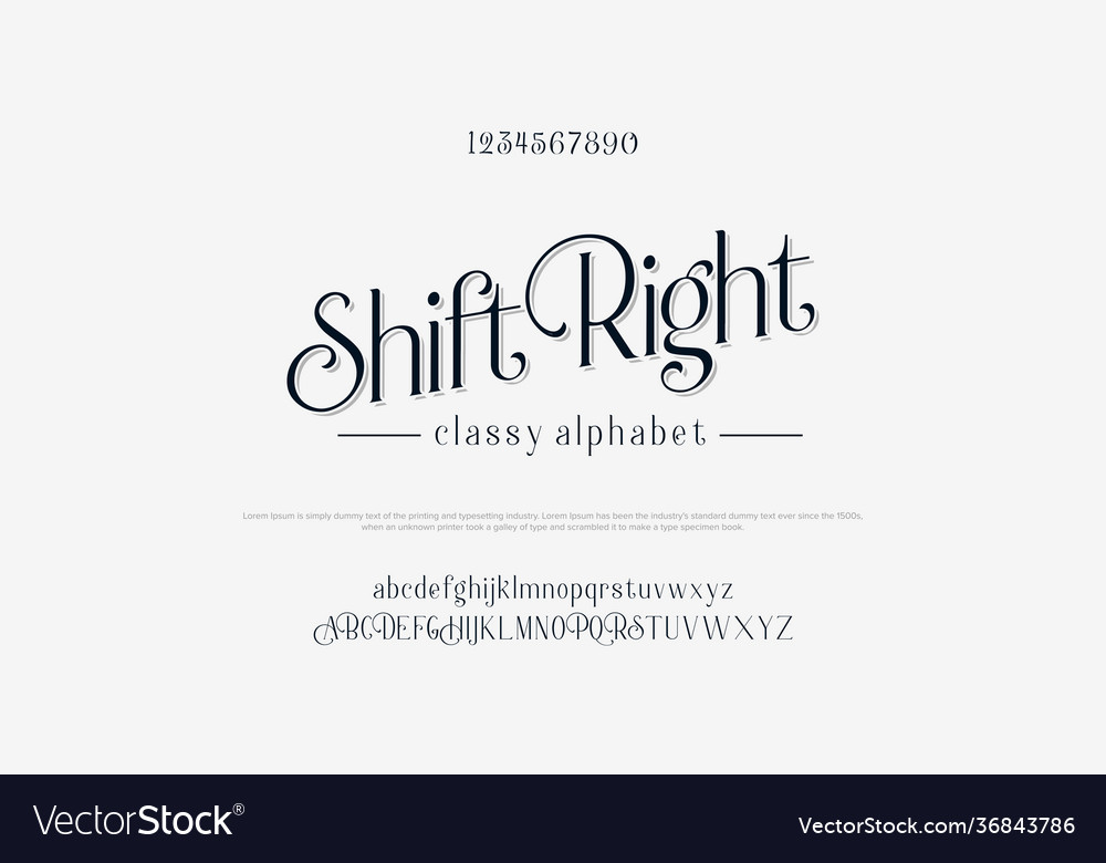 Custom font bundle script serif alphabet