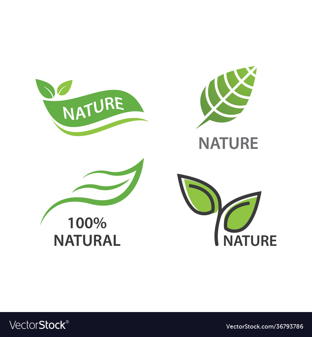 Natural leaf Royalty Free Vector Image - VectorStock