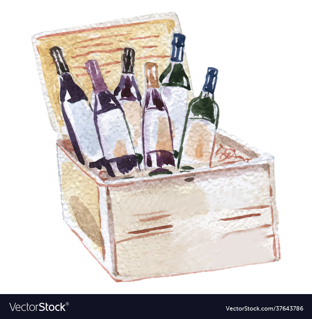 Six different wine bottles in wine box Royalty Free Vector
