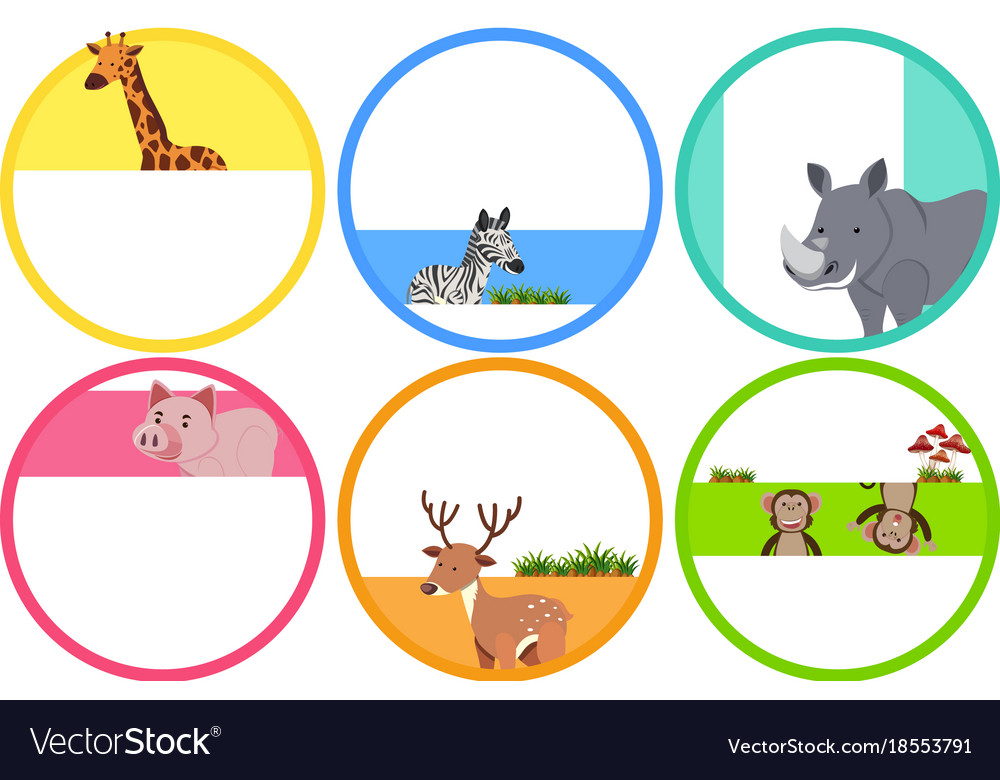 Label design with wild animals Royalty Free Vector Image