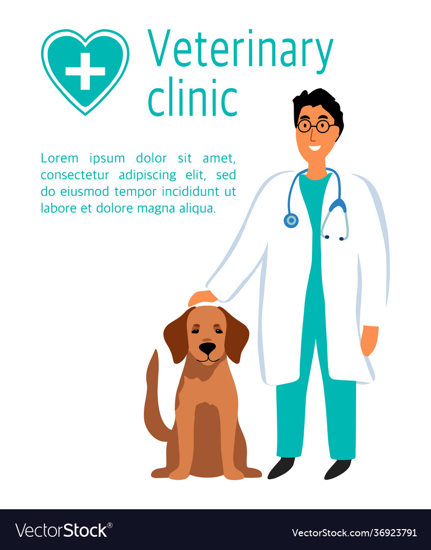 Veterinarian man doctor with dog labrador