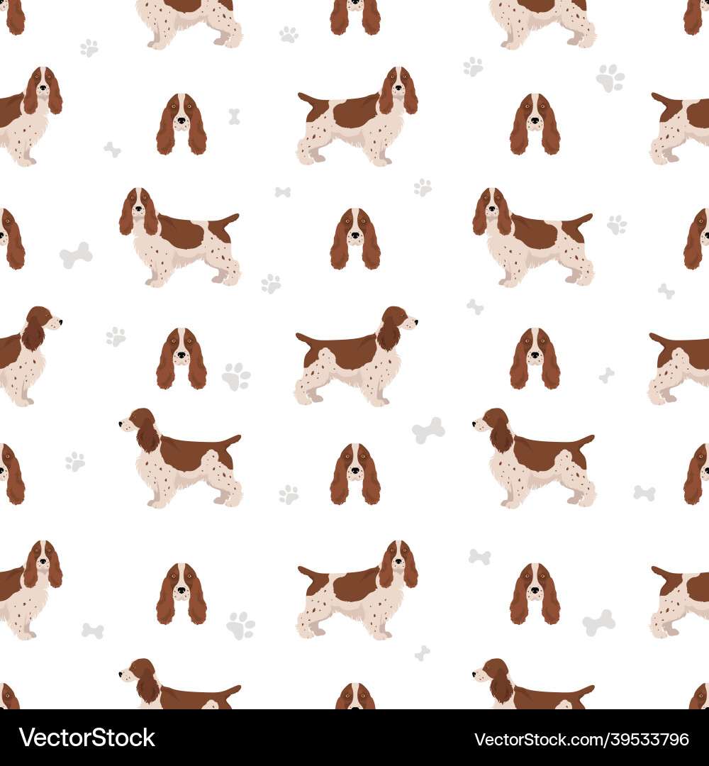 English Cocker Pattern English cocker spaniel seamless pattern different Vector Image