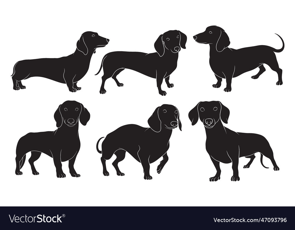 Hand drawn silhouette of dachshund dog Royalty Free Vector